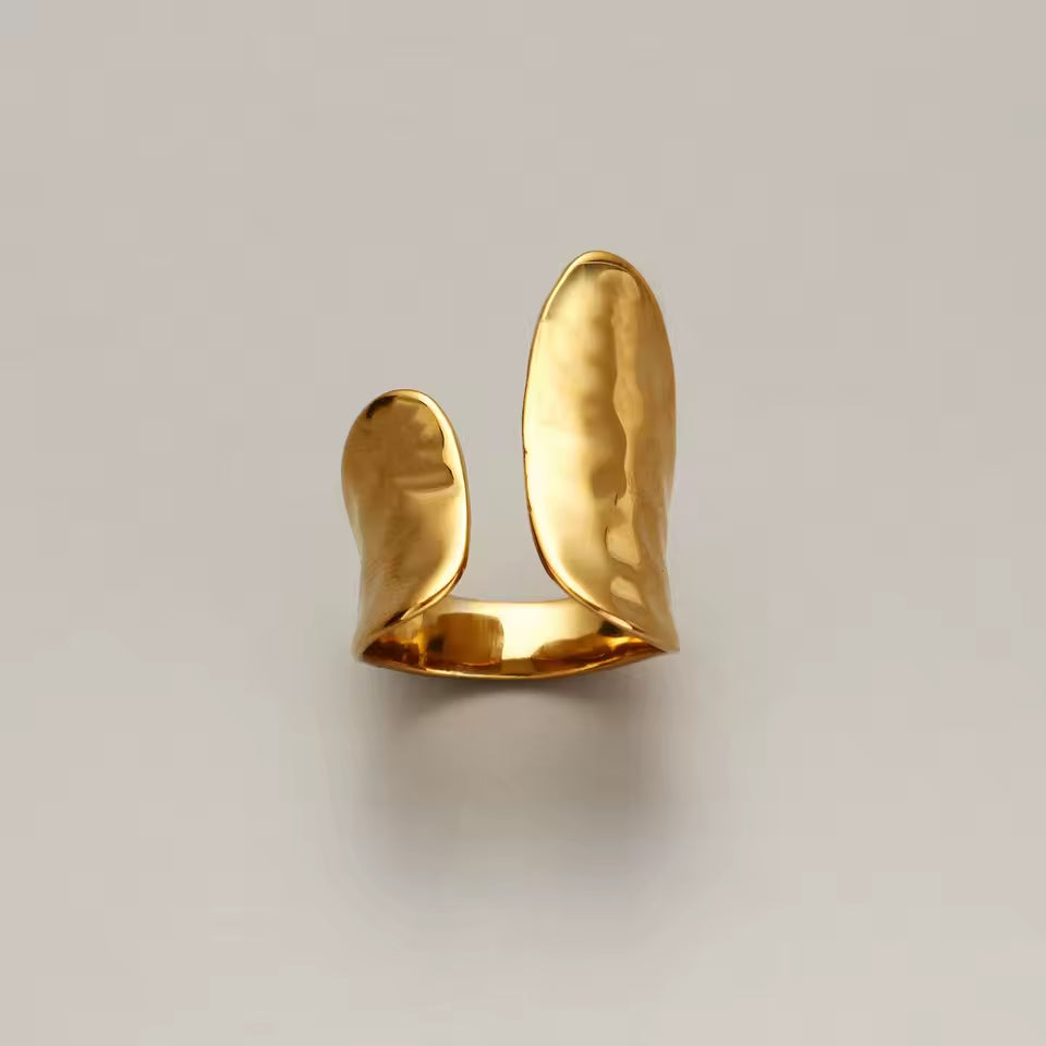 Minimalistic ring